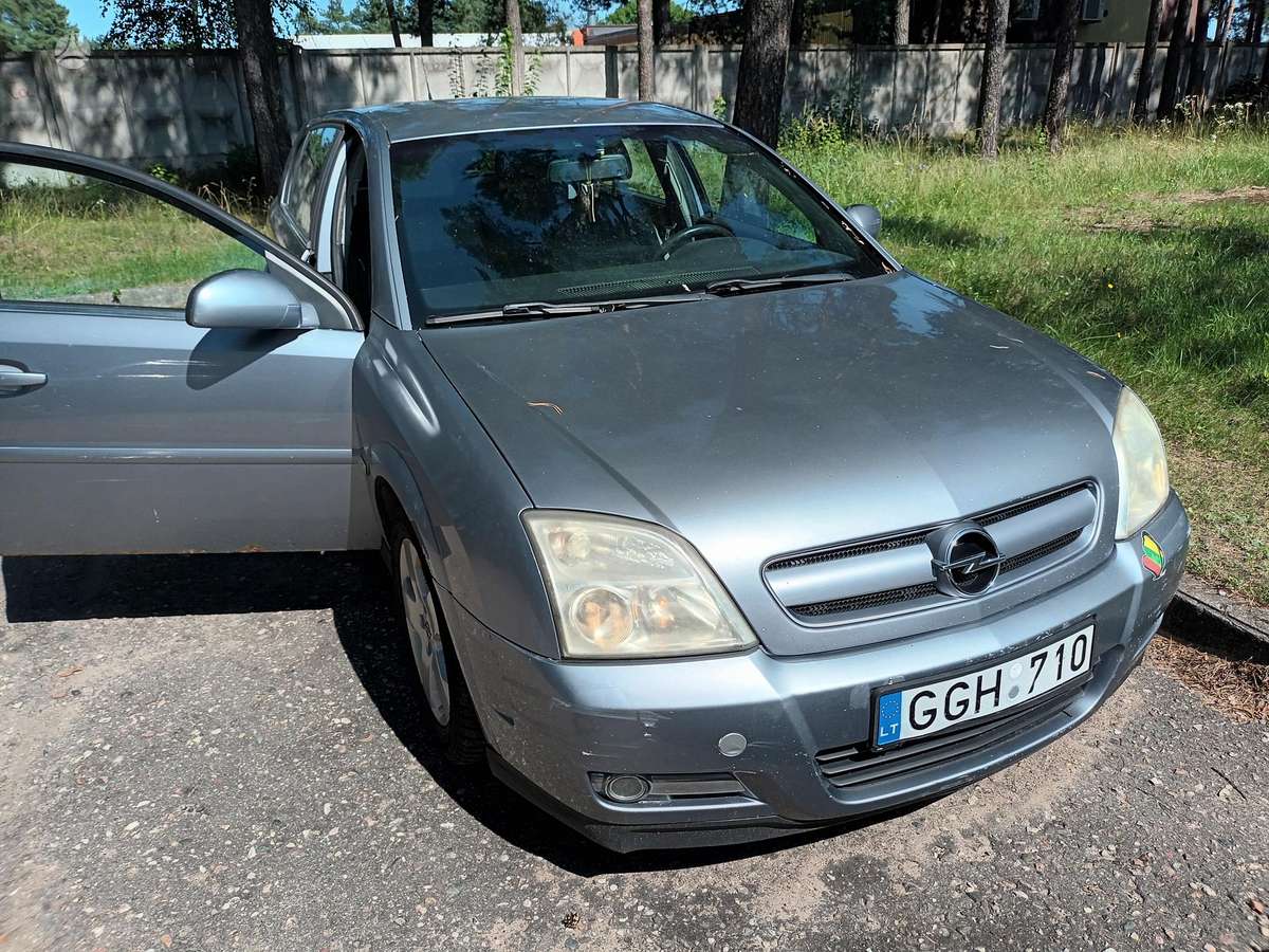Opel Signum - 7