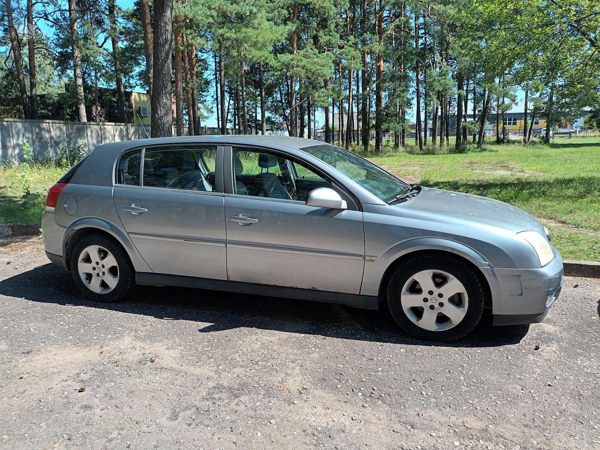 Opel Signum - 9