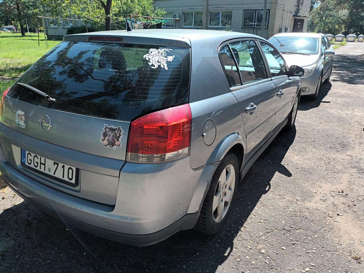 Opel Signum - 10