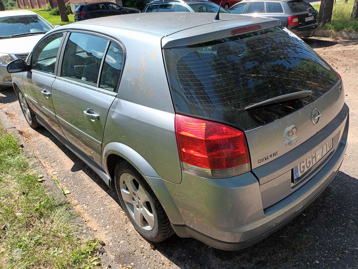 Opel Signum - 12