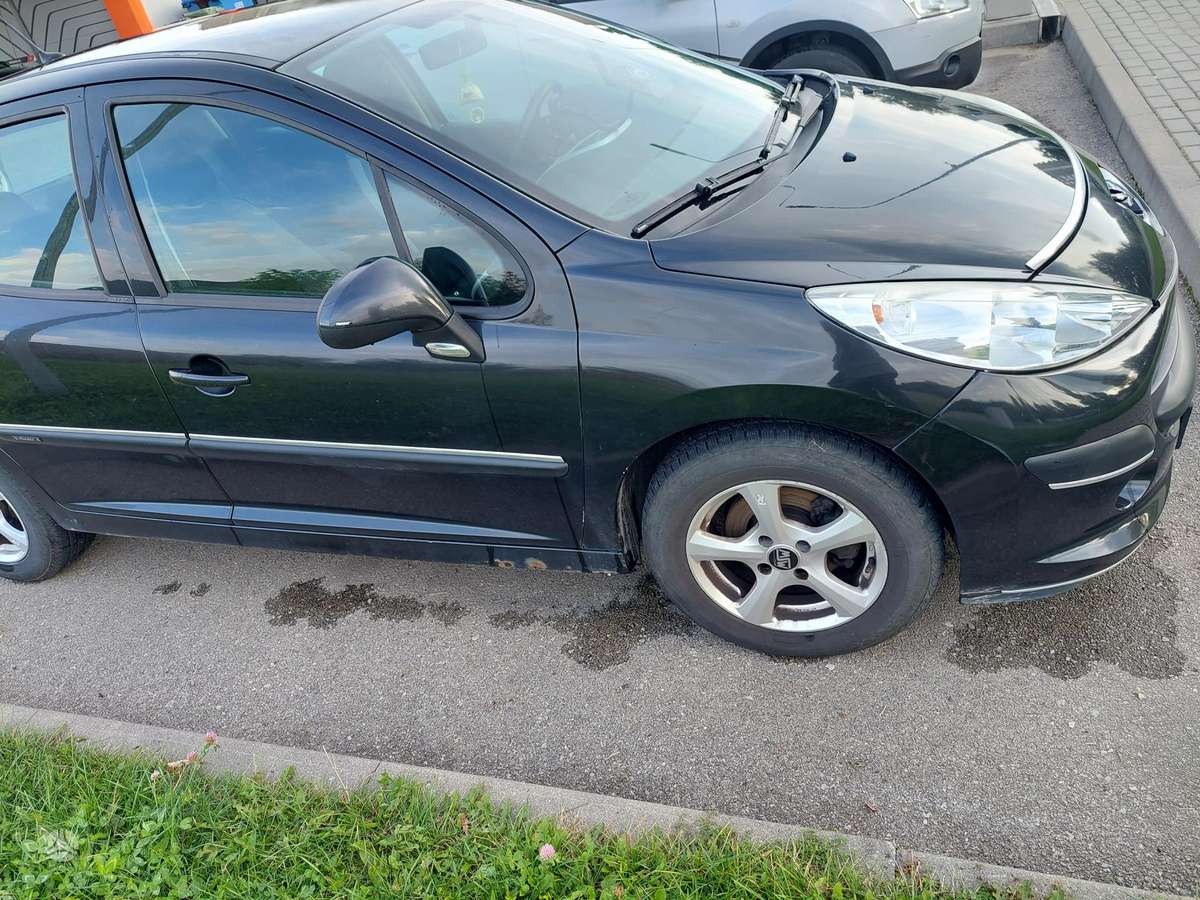 Peugeot 207 - 6