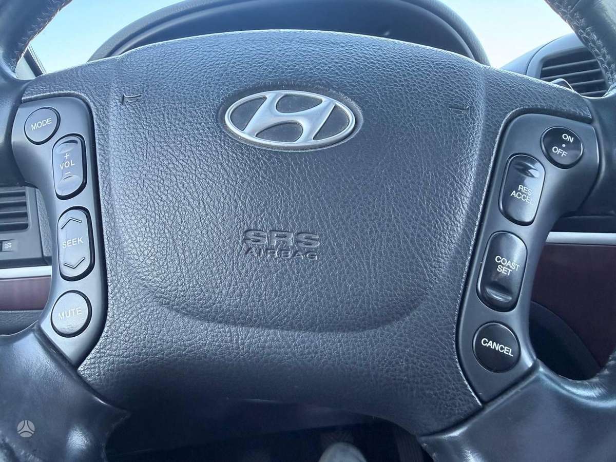 Hyundai Santa Fe - 8