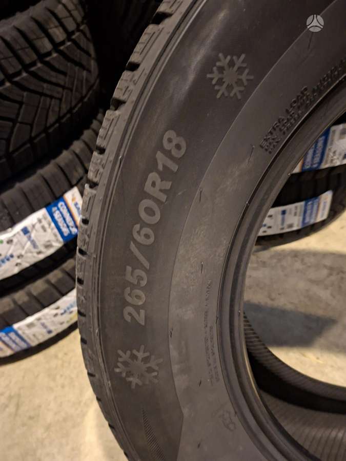 Sailun ALPINE 2, žieminės 265/60 R18