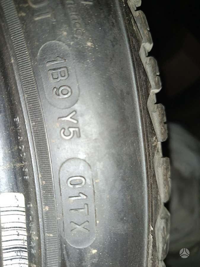 Michelin, žieminės 255/40 R21