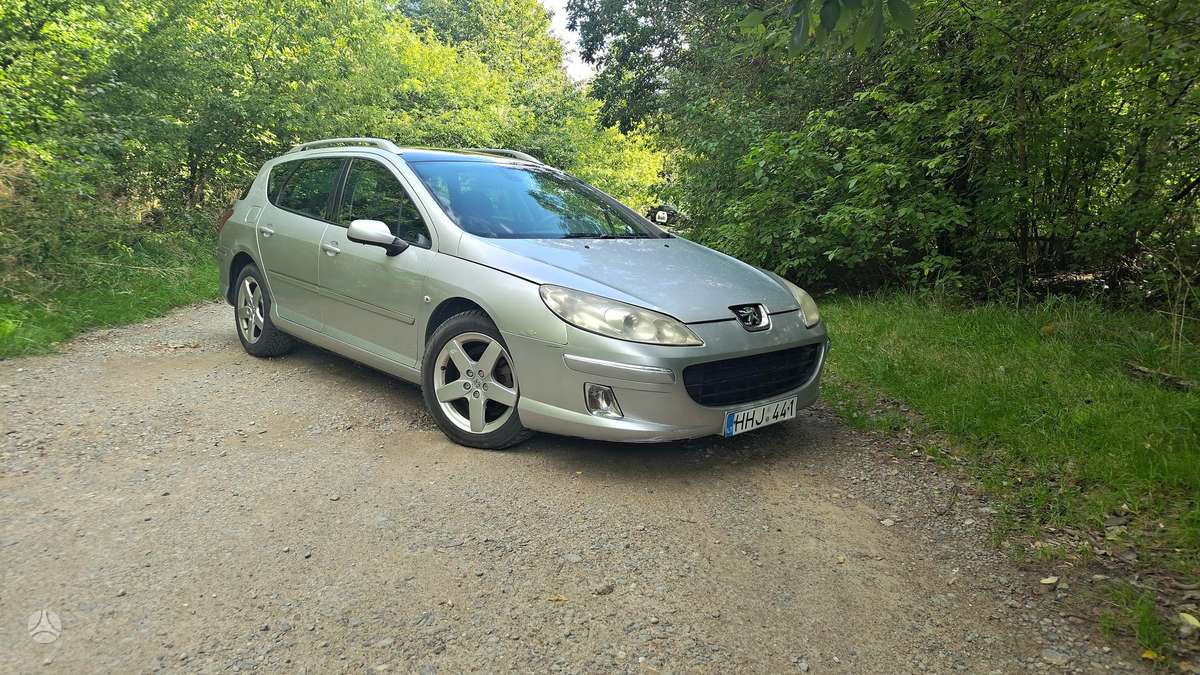 Peugeot 407 - 1