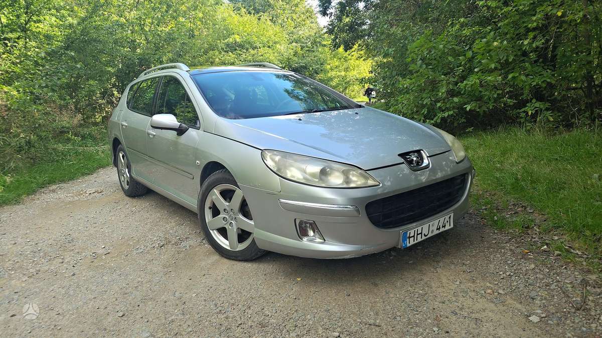 Peugeot 407 - 7