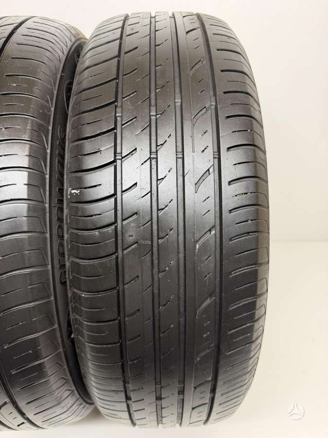 Lassa GreenWays, summer 195/65 R15