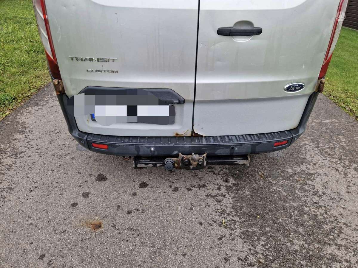 Ford Transit Custom, Коммерческий