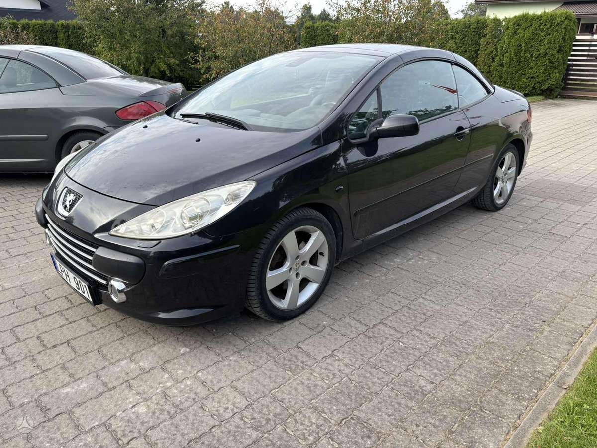 Peugeot 307 - 10