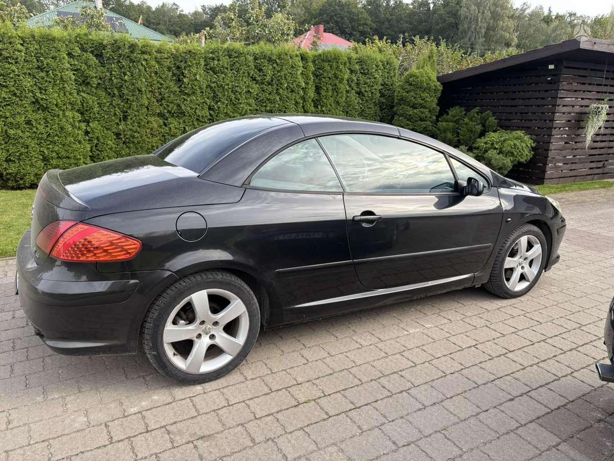 Peugeot 307 - 11