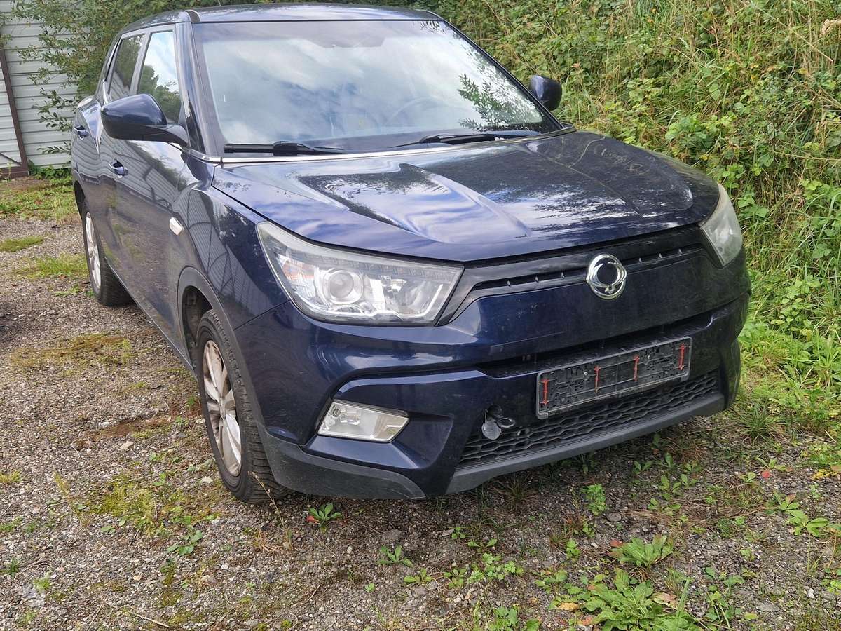 SsangYong Tivoli dalimis