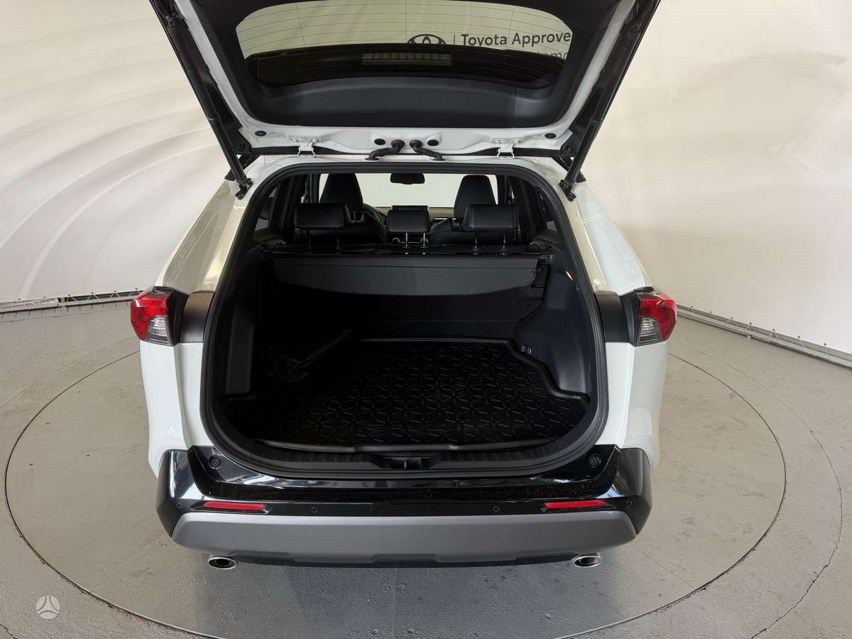 Toyota RAV4 - 10
