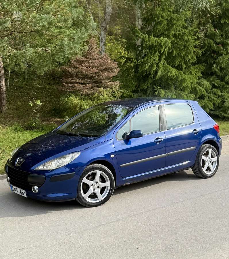 Peugeot 307 - 4