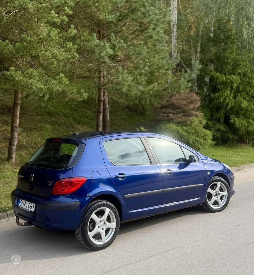 Peugeot 307, 2.0 l., hatchback