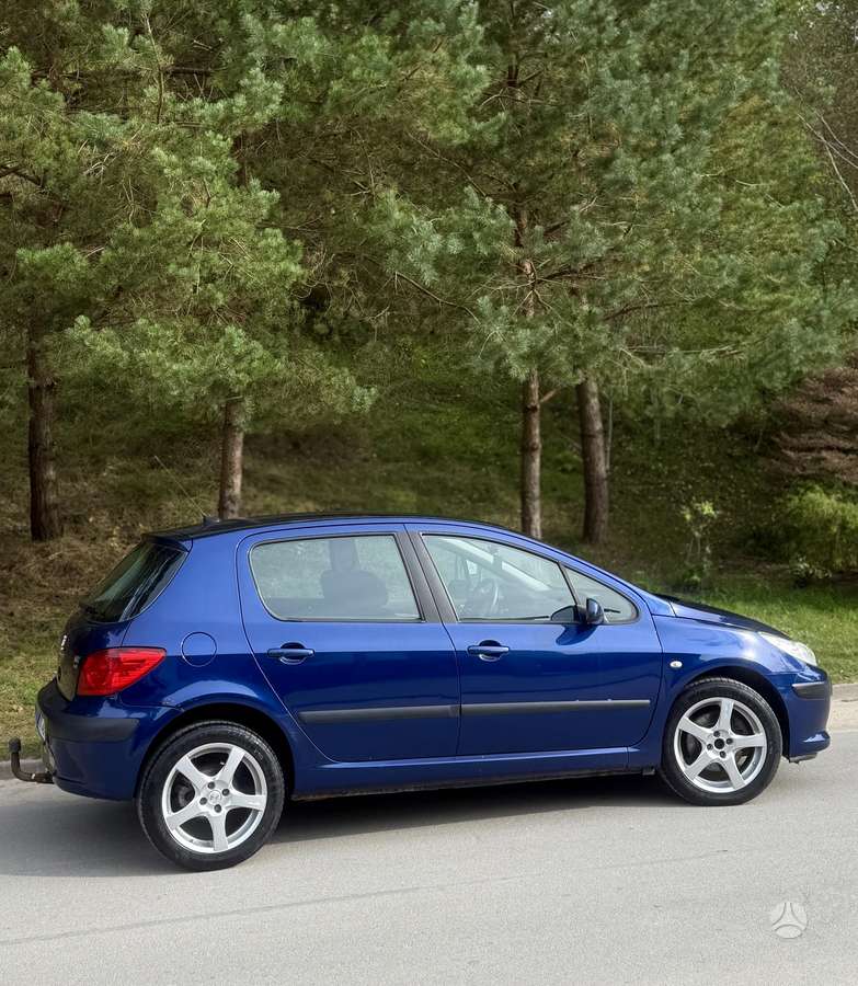 Peugeot 307 - 6