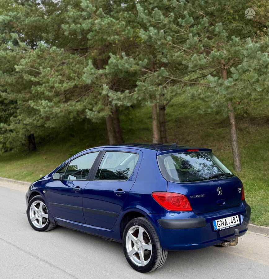 Peugeot 307 - 7