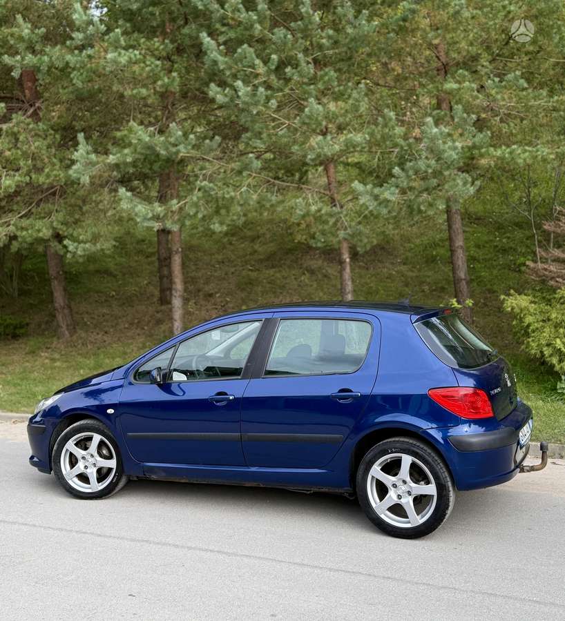 Peugeot 307, 2.0 l., hatchback