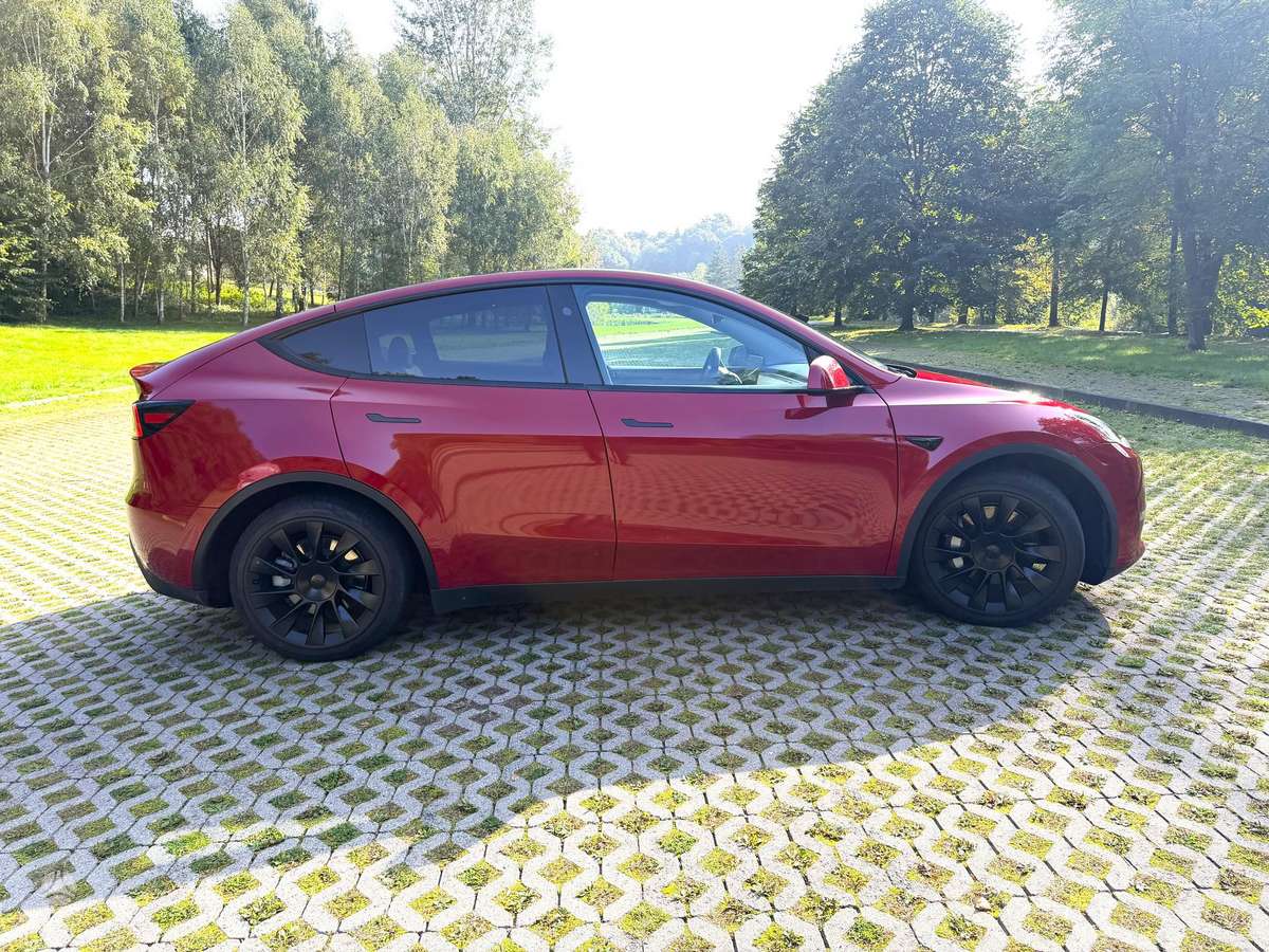 Tesla Model Y - 6