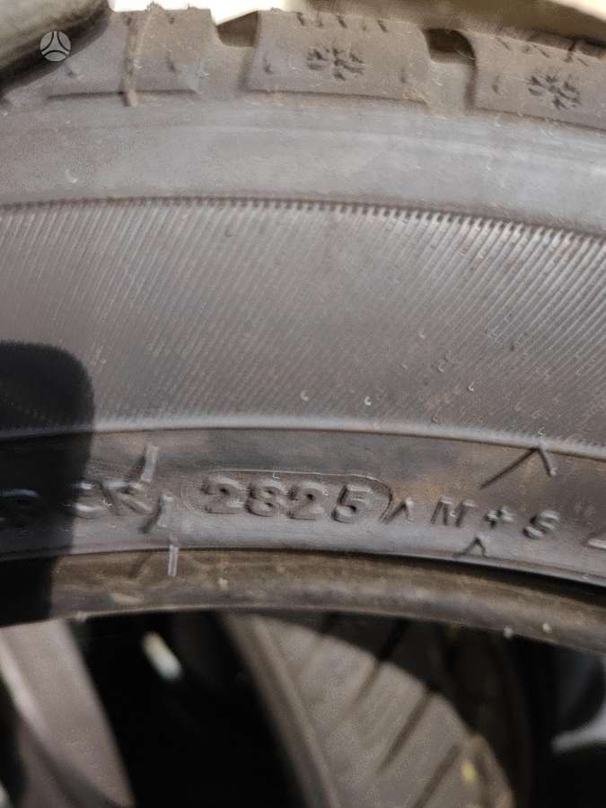 Star Performer, žieminės 215/55 R17