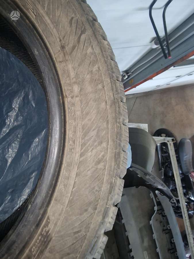 Winguard, winter 205/55 R16