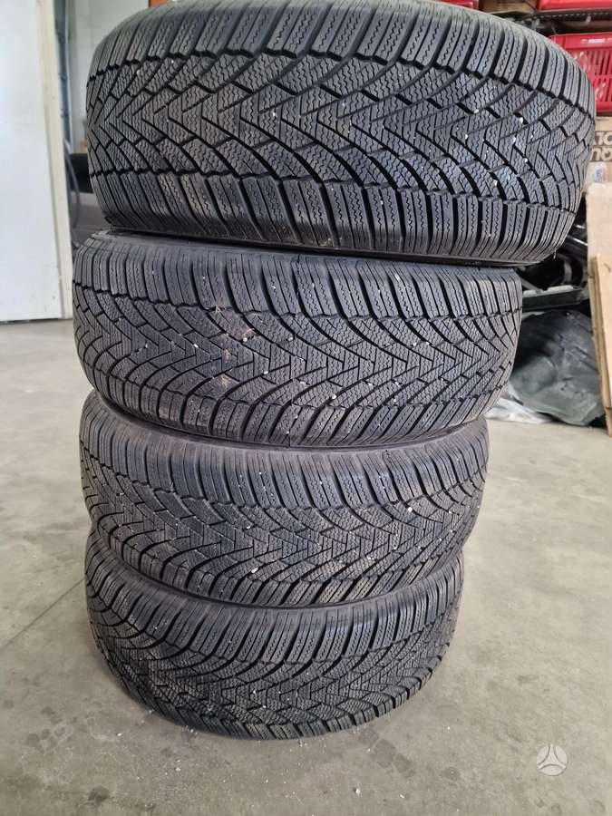 FRONWAY, зимние 205/55 R16