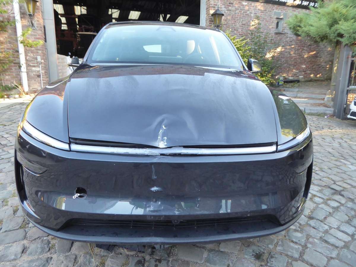 Tesla Model Y - 1