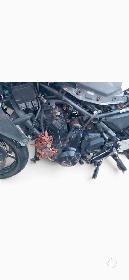 Kawasaki EX, superbikes