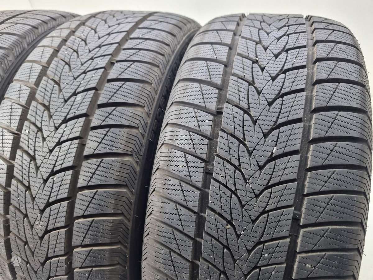 Minerva 8mm, 2024m, winter 225/40 R18