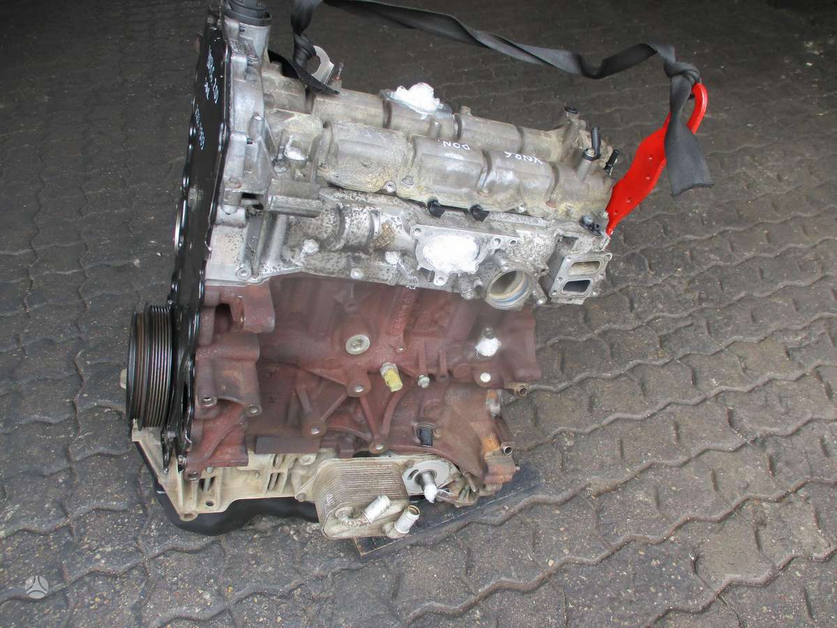 Ford Transit Variklis 2 0d ynr6