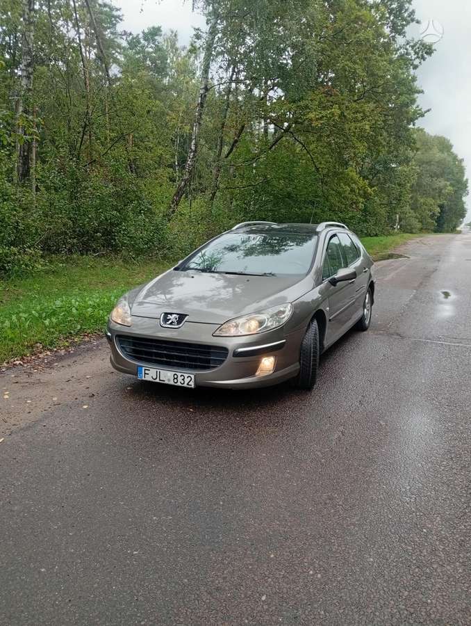 Peugeot 407 - 1