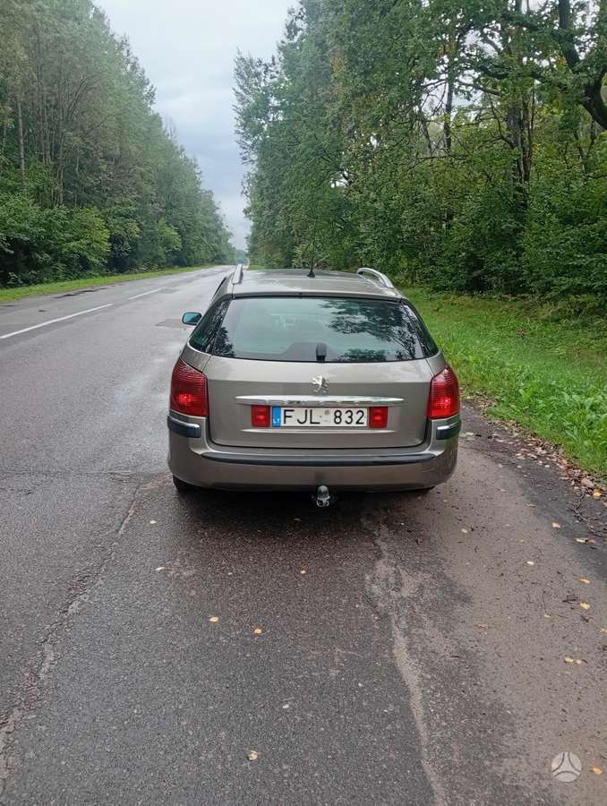 Peugeot 407 - 4