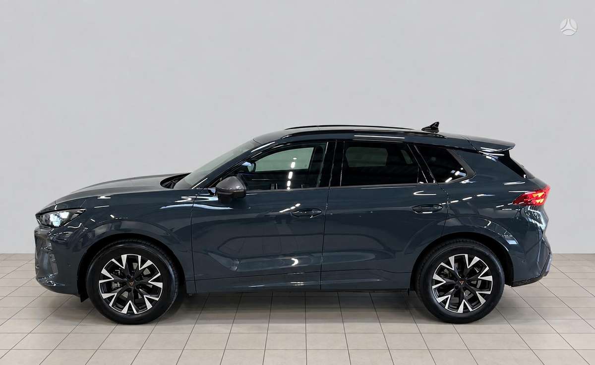 Cupra Terramar - 2
