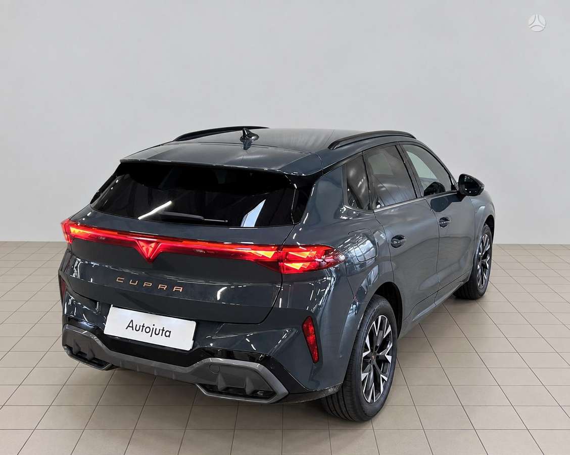 Cupra Terramar - 4