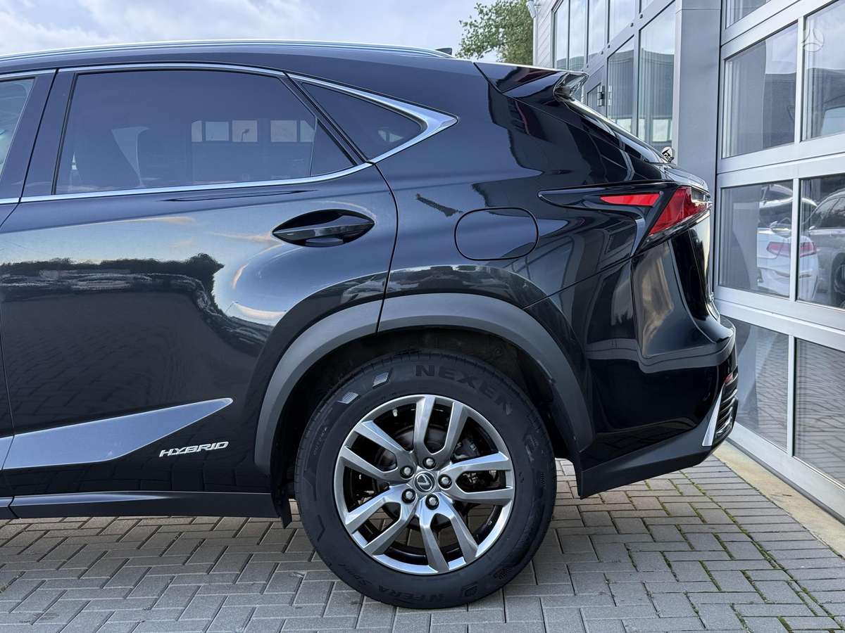 Lexus NX 300h - 7