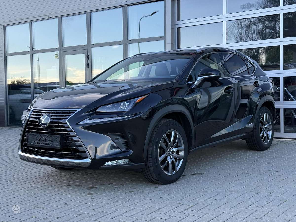 Lexus NX 300h - 2