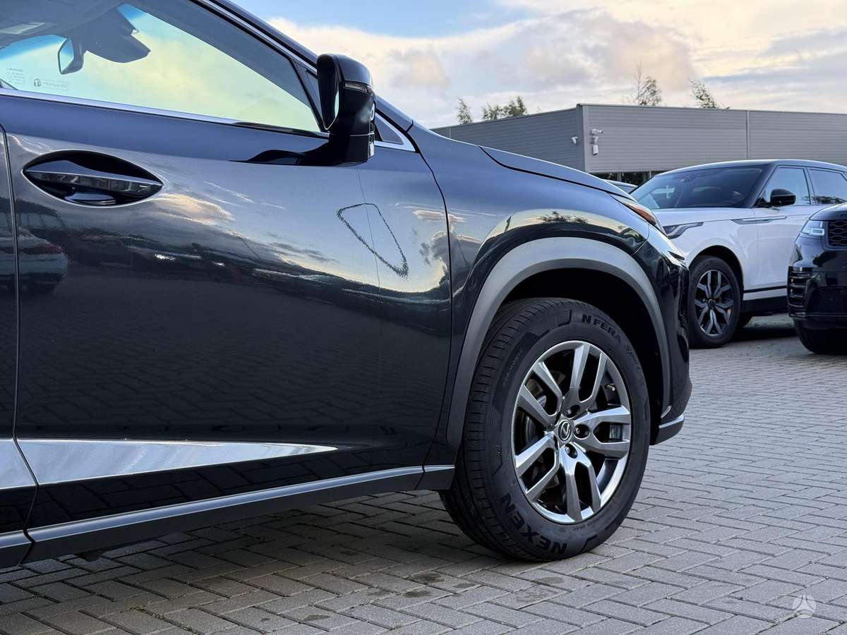 Lexus NX 300h - 10