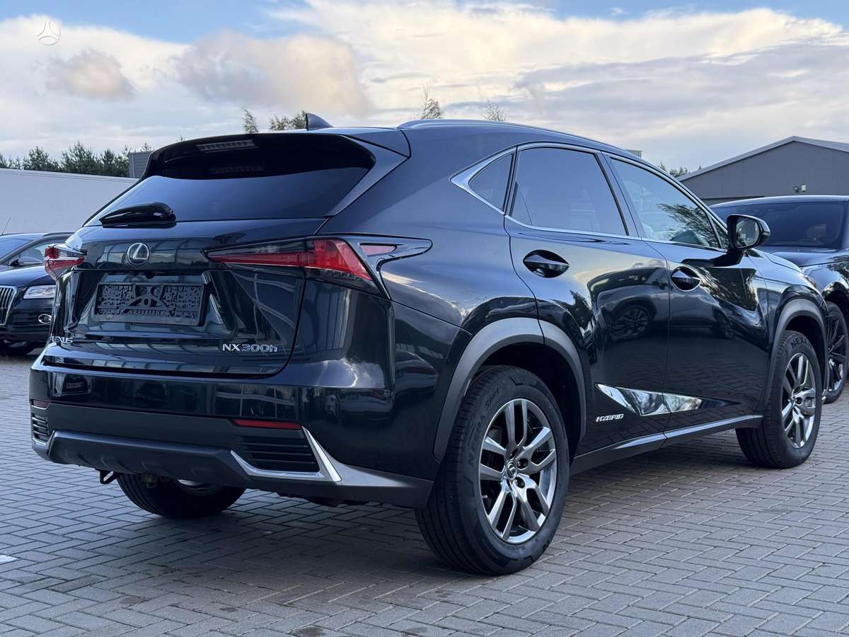 Lexus NX 300h - 12