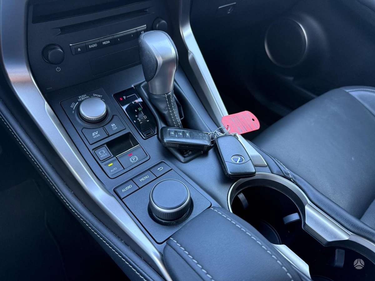 Lexus NX 300h - 12