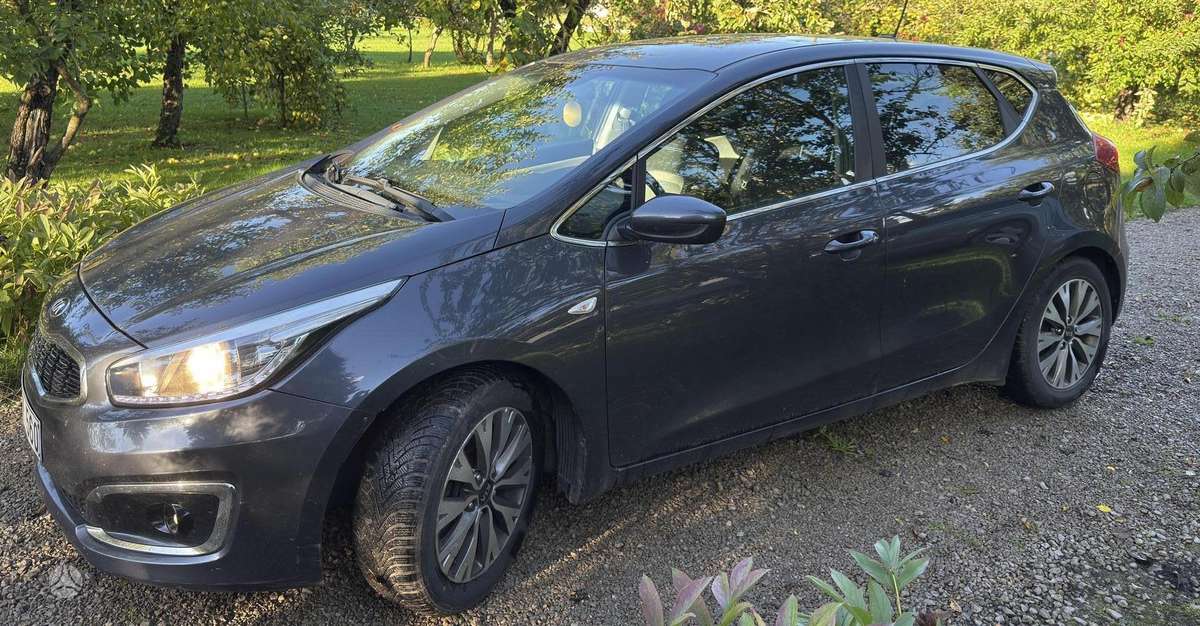 Kia Ceed, 1.6 l., hatchback