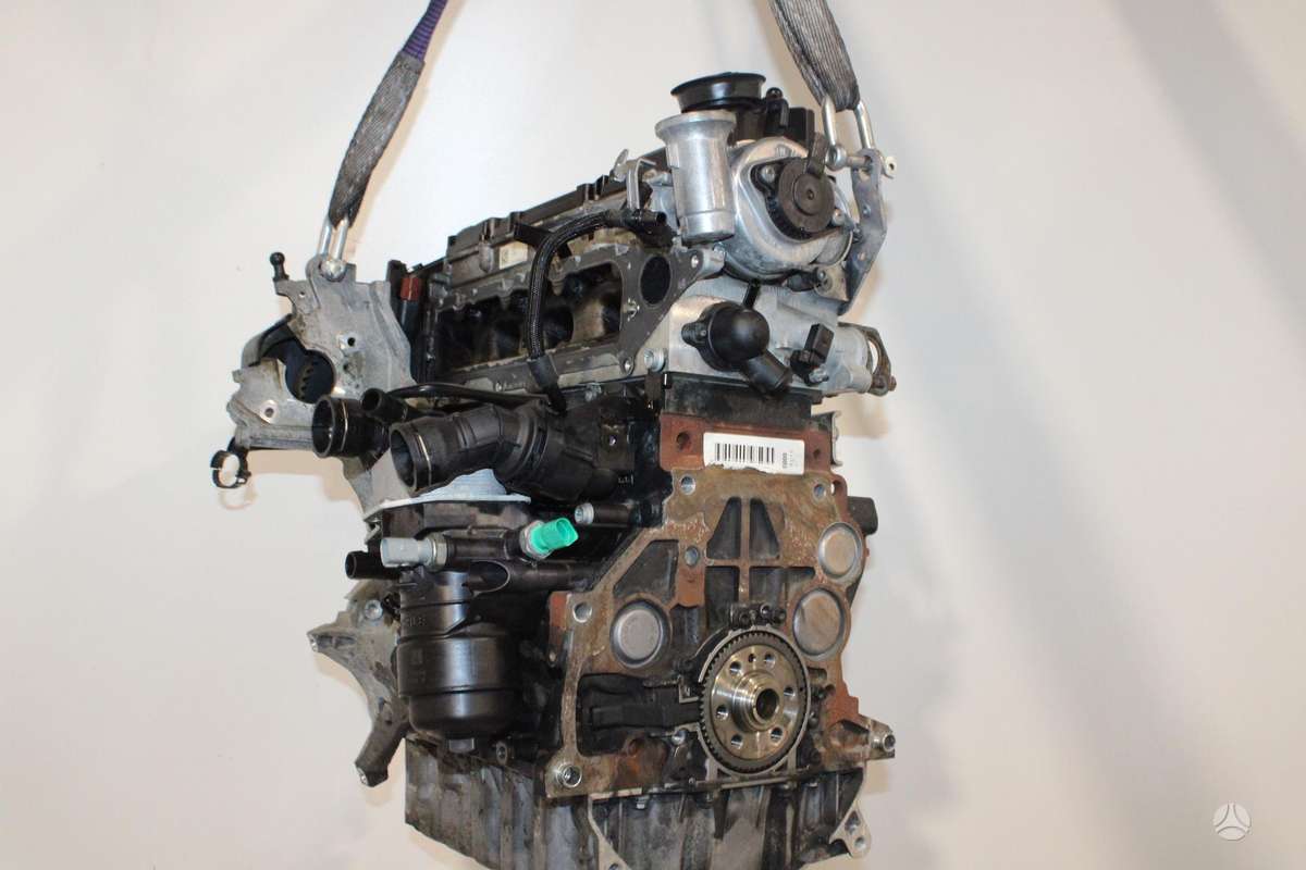 Volkswagen Golf, DCY, variklis