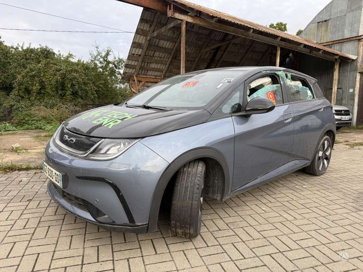 BYD Dolphin, 60 кВт·ч, Хэтчбек