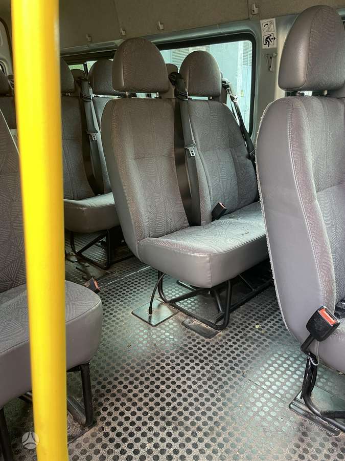 Ford Transit, mpv / minivan