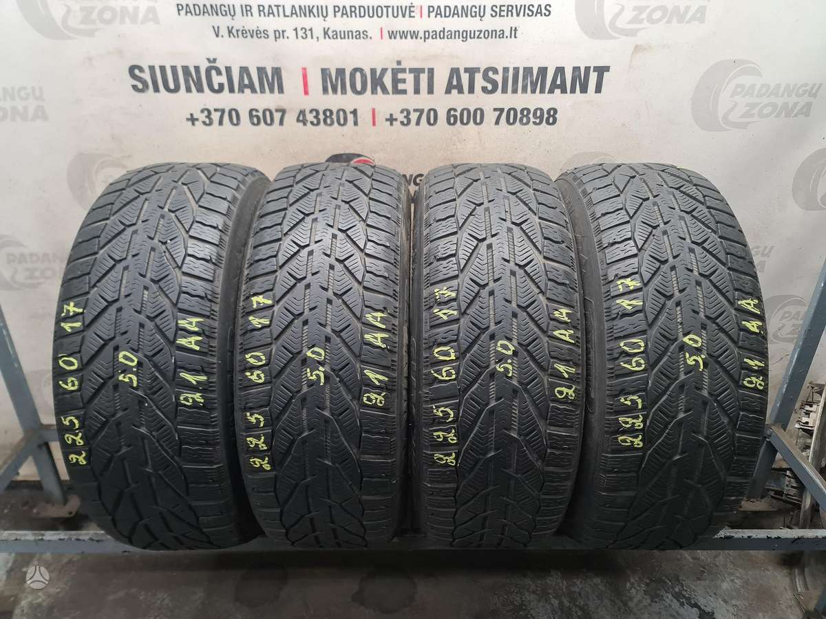 Taurus Winter, winter 225/60 R17