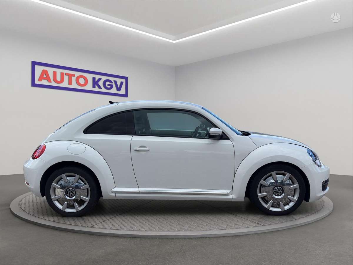 Volkswagen Beetle - 6