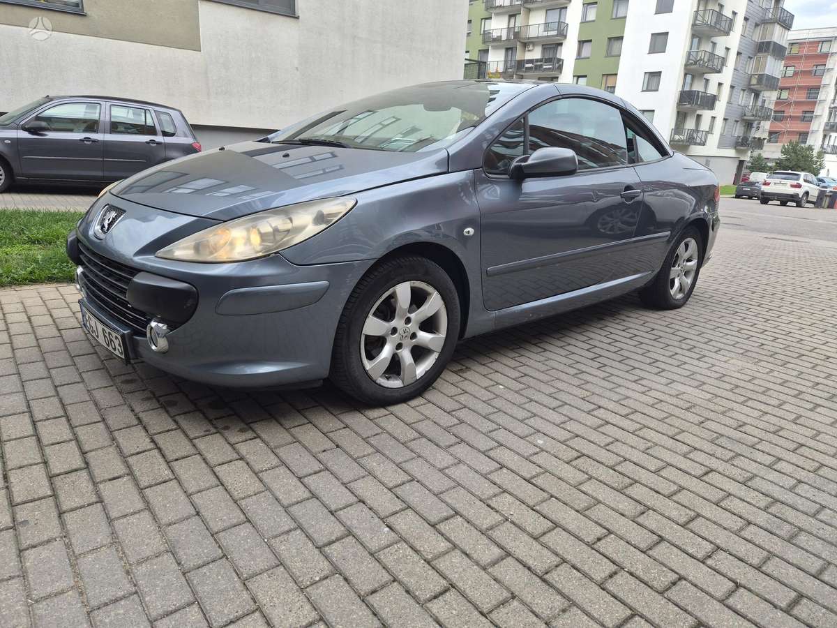 Peugeot 307 - 4