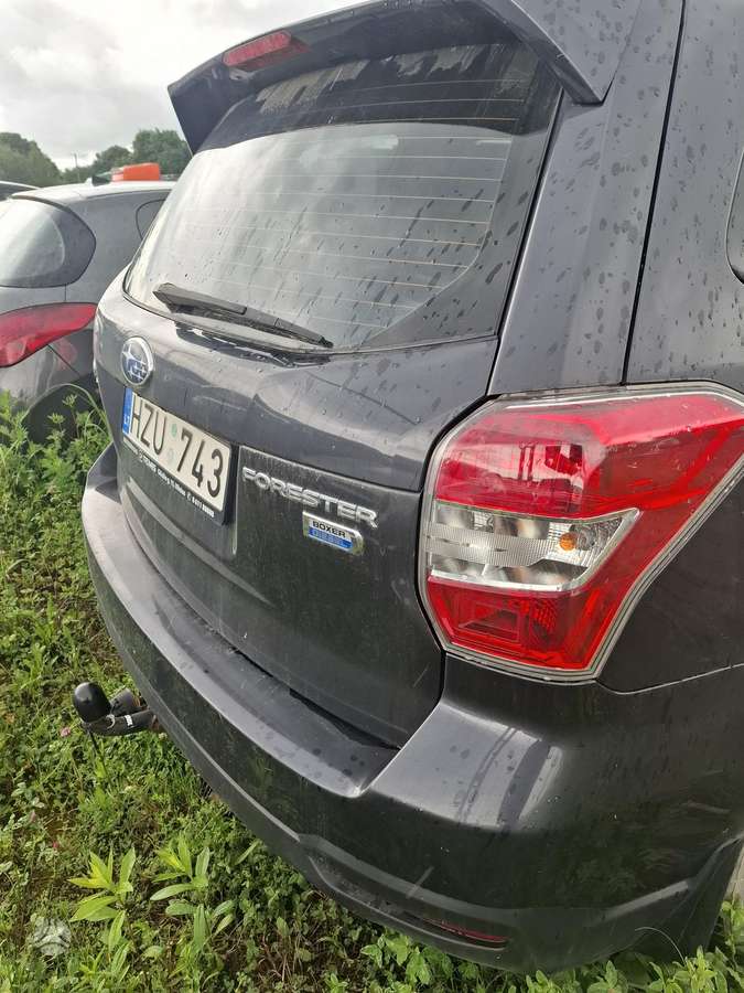 Subaru Forester - 4