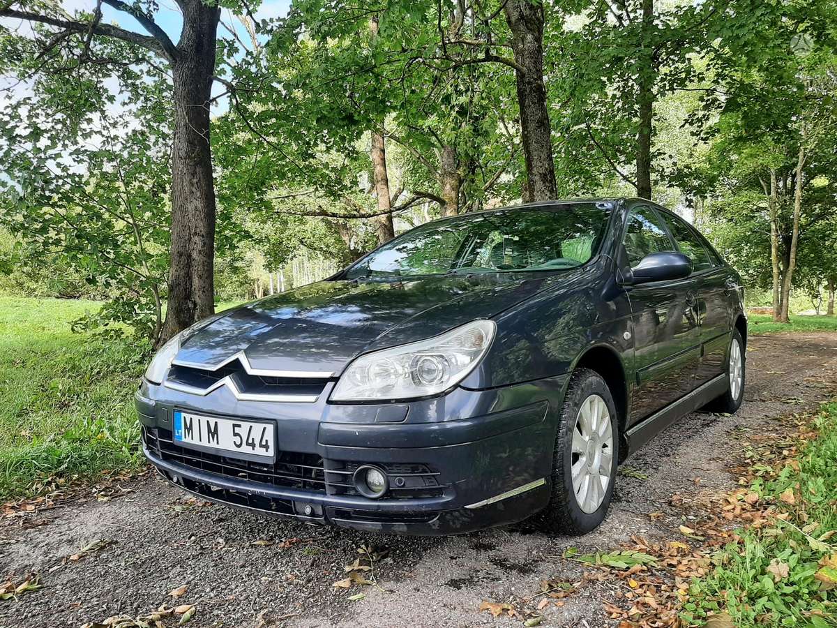 Citroen C5, 2.0 l., Хэтчбек