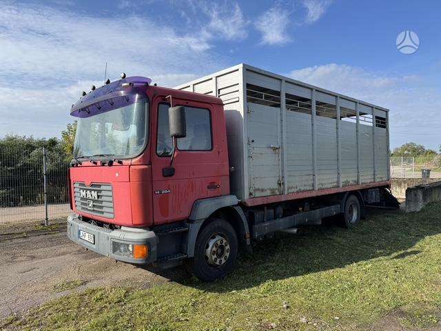 MAN 14-284, livestock trucks
