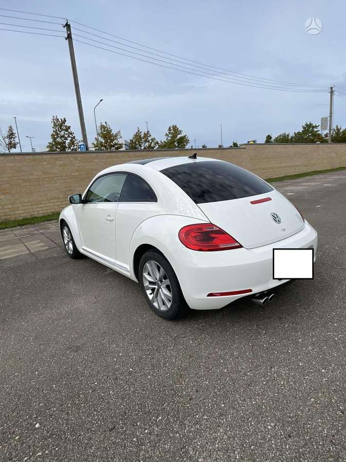 Volkswagen Beetle - 3