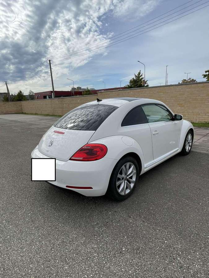 Volkswagen Beetle - 4